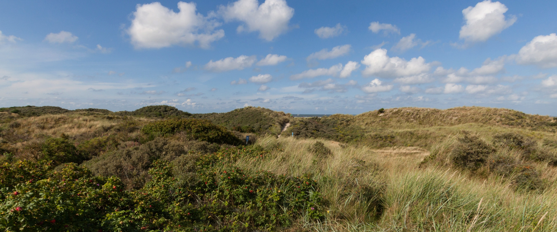 Ferienhaus Auster Juist Umgebung